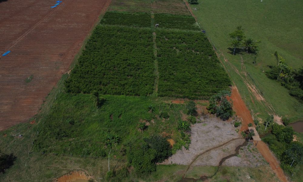 Prefeitura de Nova Brasilândia D' Oeste-RO - Construindo um Novo